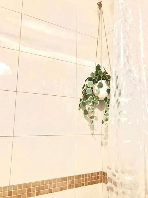 Appartement Miejskie Mieszkanie à Varsovie Extérieur photo